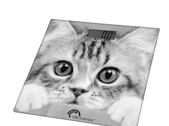 Pèse-personne - Chat