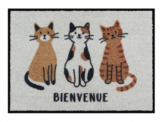 Tapis de patio bienvenue