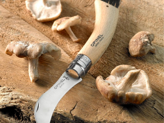 Couteau à champignons n° 8