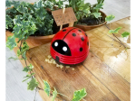 Ramasse miette : coccinelle