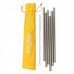 6 pailles en inox avec goupillon
