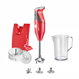 Mixeur Bamix Swissline