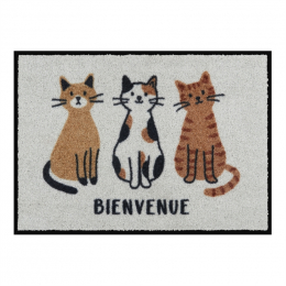 Tapis de patio bienvenue