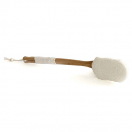 Brosse de bain